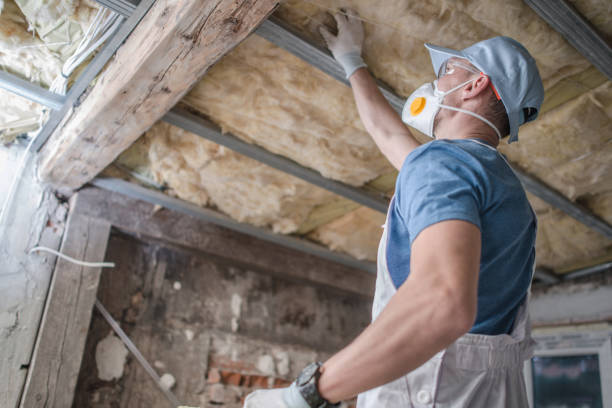 Best Commercial Insulation Contractor  in Zimmerman, MN